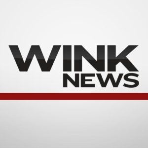 Wink News logo